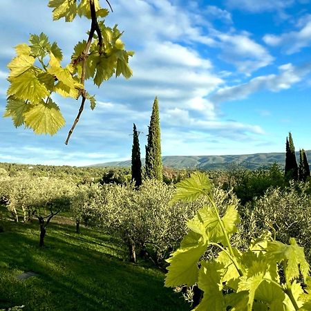 Provence Km28 Bed & Breakfast Gordes Eksteriør bilde