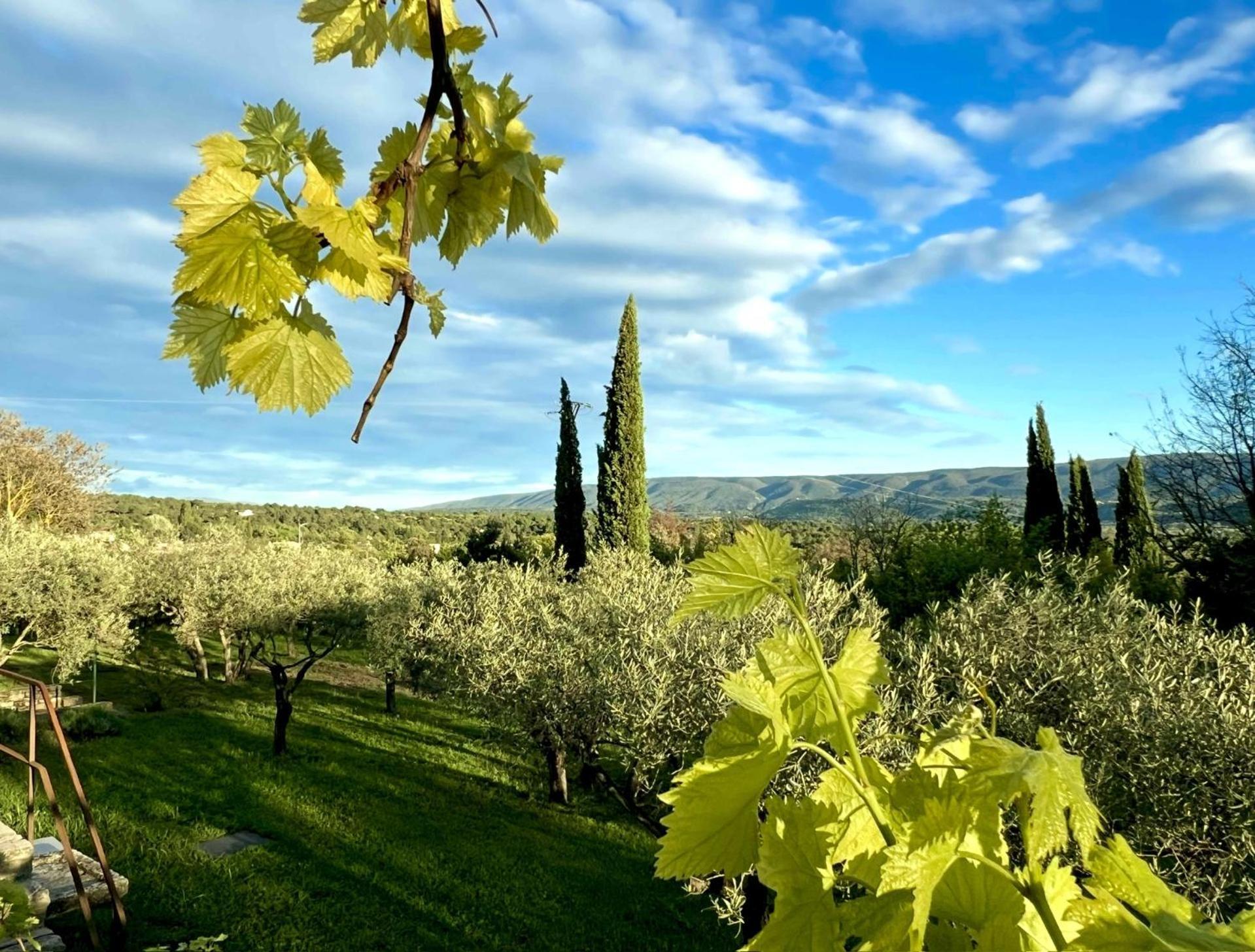 Provence Km28 Bed & Breakfast Gordes Eksteriør bilde