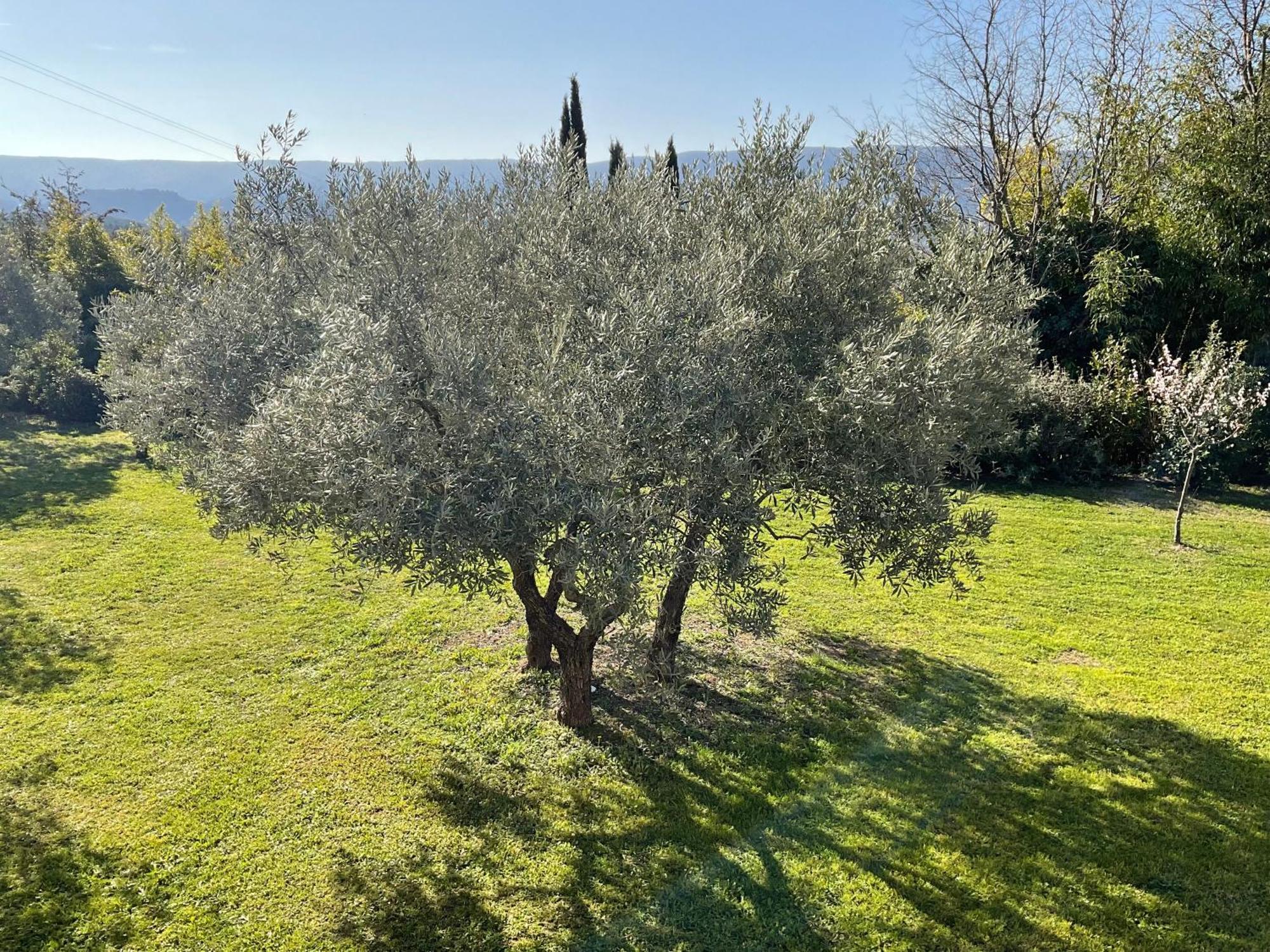 Provence Km28 Bed & Breakfast Gordes Eksteriør bilde