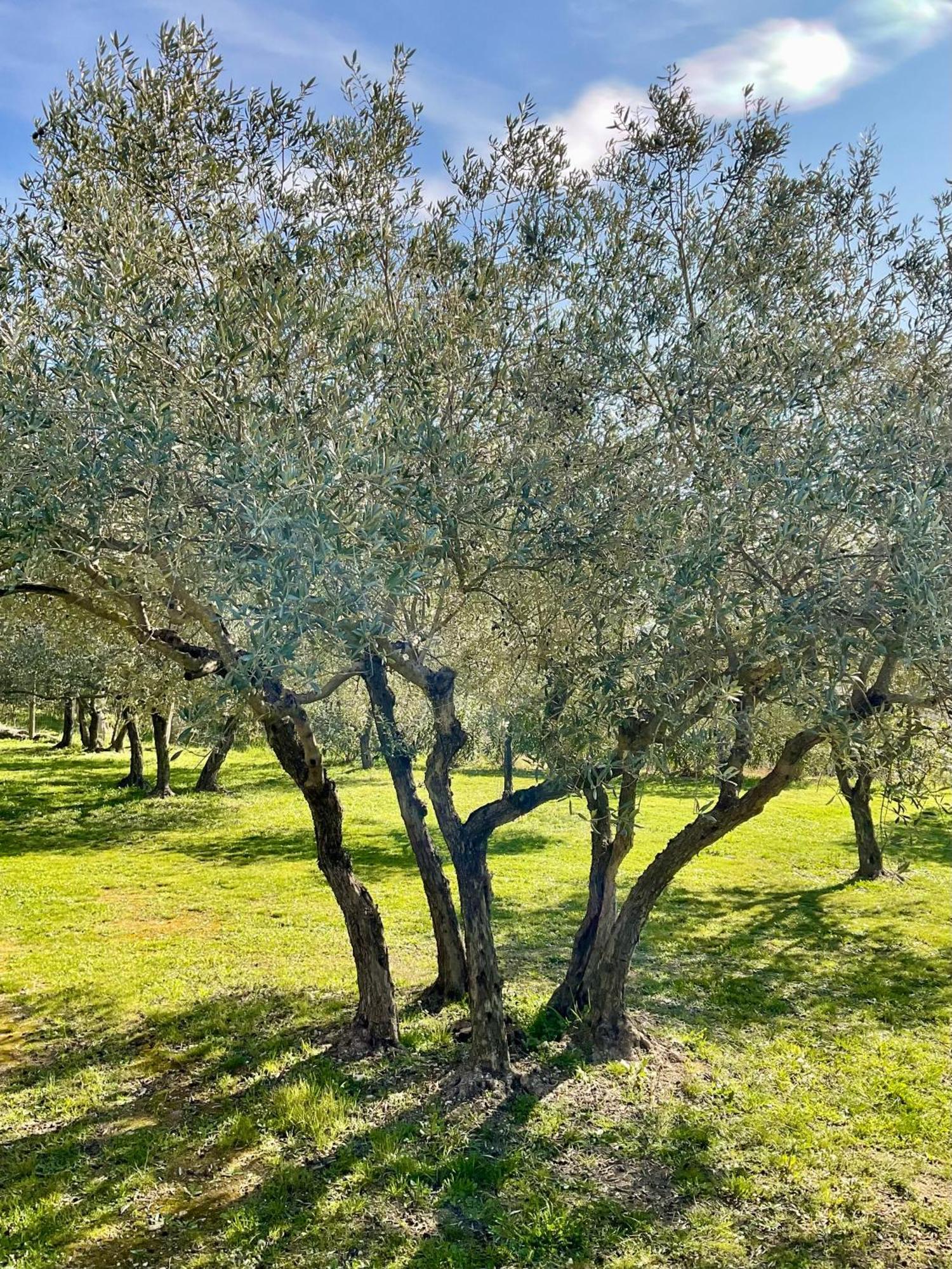 Provence Km28 Bed & Breakfast Gordes Eksteriør bilde